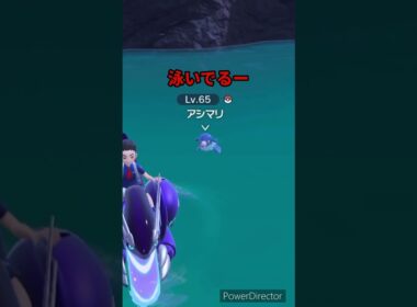 【ポケモンバイオレット】アシマリって泳いでるのもかわいいよね　#ポケモンバイオレット #ゲームリハビリ #切り抜き #shorts