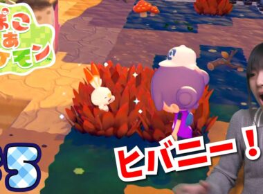 【ぽこあポケモン】ついに新エリア！ヒバニーみつけた～！＃５