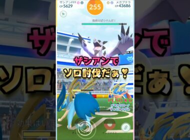 メガプテラをソロ討伐!!ザシアンver【ポケモンGO】