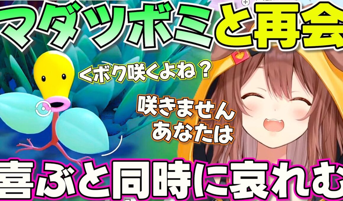 【ぽこあポケモン】個性的なポケモンたちと出会うころさん【ホロライブ戌神ころね切り抜き】