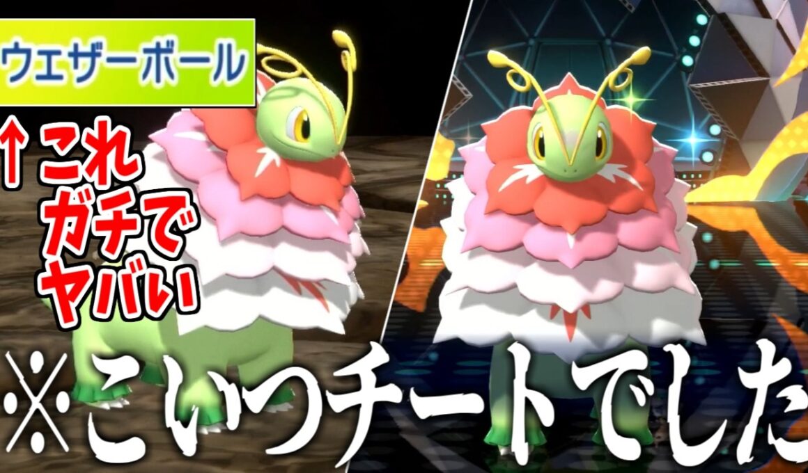 "メガソーラー"とかいう唯一無二特性を悪用しまくるメガメガニウムが面白すぎるｗｗｗｗ【Pokémon Champions】実況プレイ