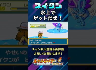貴重？野生のスイクンが水上で出現する瞬間を絶対見逃すな！#shorts  #ポケモン #スイクン