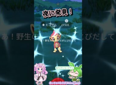 【ポケGO】色違いヒコザル！初Getなのだ！