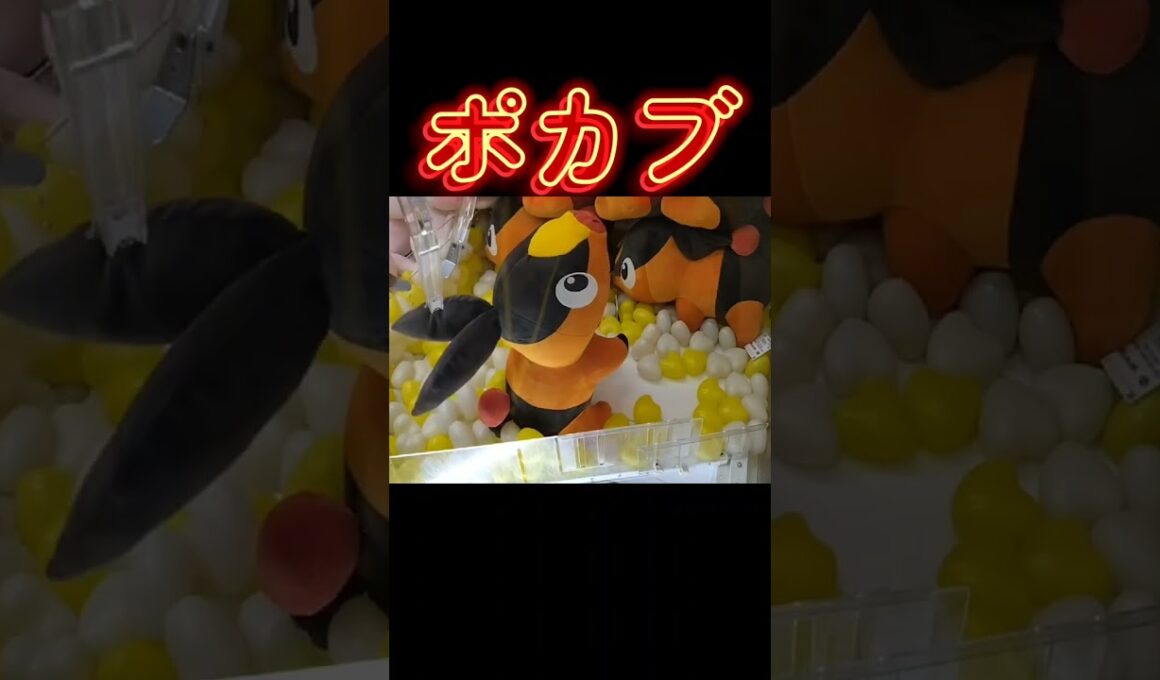 #クレーンゲーム #攻略 #ポケモン #ポケモン30周年 #ポカブ