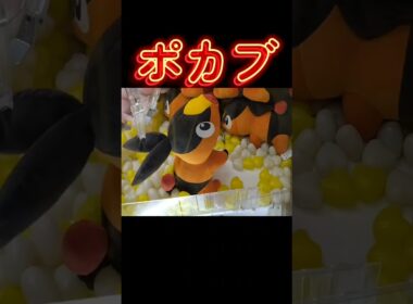 #クレーンゲーム #攻略 #ポケモン #ポケモン30周年 #ポカブ
