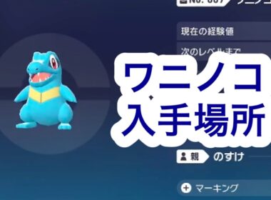 【ポケモンZA】ワニノコ入手場所