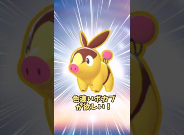 【ポケモンZA】色違いポカブが欲しい！ #shorts