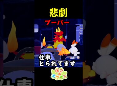 【悲報】ブーバーさん居場所を奪われる #ポケモン #ぽこあポケモン #ぽこポケ