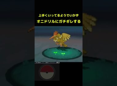 オニドリルに怒る！【ポケモンBW2】#shorts #ポケモン