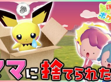 【ぽこポケアニメ】ママに捨てられたピチューの話を聞いてみたら…なんだかおかしいぞ！？【ぽこあポケモン】