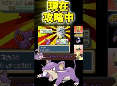 【種族値253】コラッタ一匹で強化四天王に挑んだ結果…シバにボコボコにされた件【ゆっくり実況】【ポケモンFRLG】【コラッタ縛り】 #ゆっくり実況#frlg