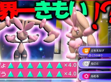 【先行ともえなげ？！】難攻不落変態型色違いメガミミロップが世界一楽しい件について【ポケモンチャンピオンズ】