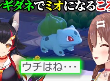 【ぽこ あ ポケモン】フシギダネでミオになるころね【戌神ころね/ホロライブ切り抜き】
