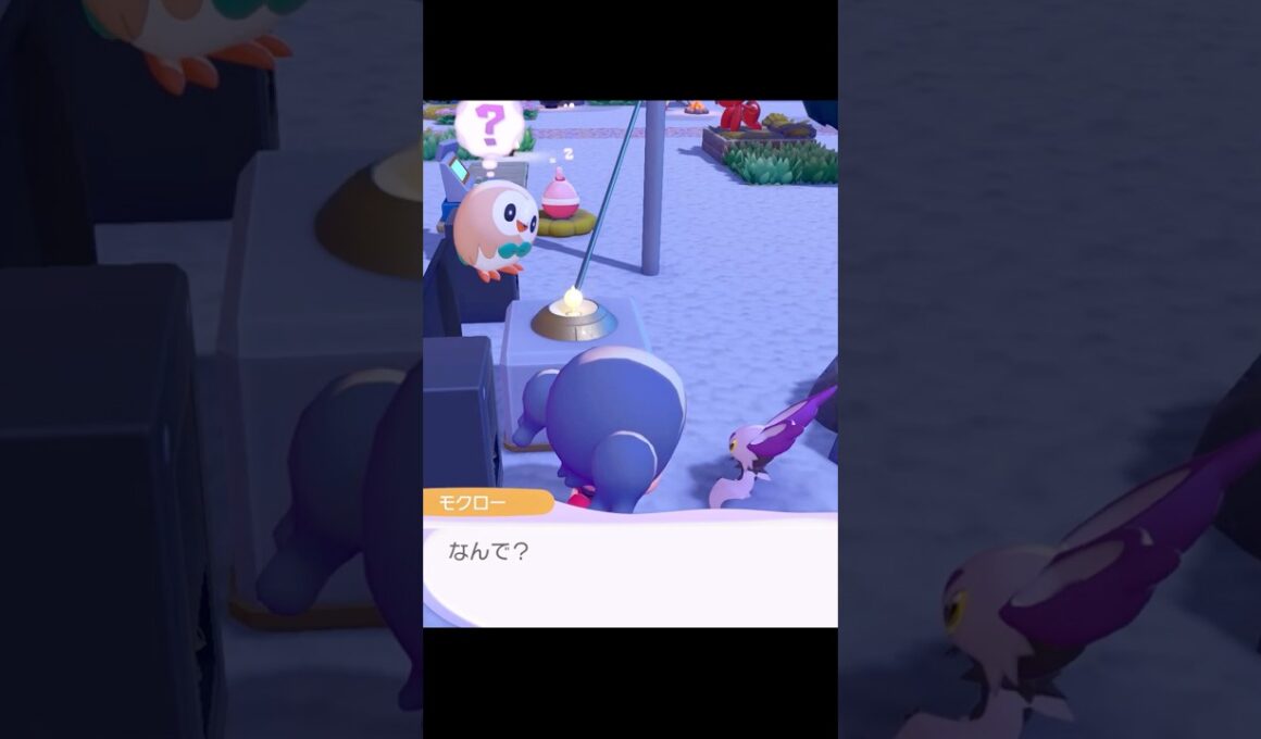 モクローとオンバットの特殊会話かわいすぎ問題 #ポケモン #ぽこあポケモン