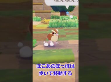 ポッポの歩き方の比較【ぽこあポケモン】#shorts #ポケモン #ポケモンZA #ポケモンチャンピオンズ