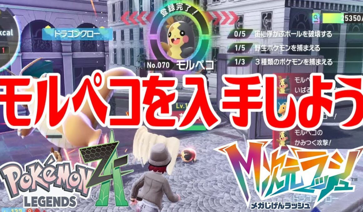 【ポケモンZ-A】モルペコを入手しよう【Pokémon LEGENDS Z-A M次元ラッシュ】
