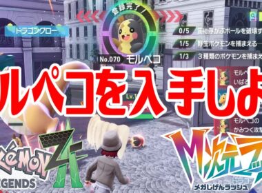 【ポケモンZ-A】モルペコを入手しよう【Pokémon LEGENDS Z-A M次元ラッシュ】