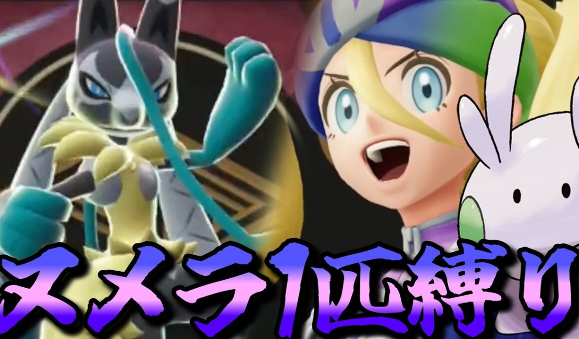 【ポケモンZA】M次元ラッシュをヌメラ１匹でクリアしてみる【ポケモン】【ポケモンレジェンズZA】【M次元ラッシュ】【Switch2】#4