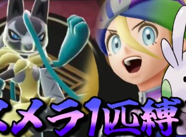 【ポケモンZA】M次元ラッシュをヌメラ１匹でクリアしてみる【ポケモン】【ポケモンレジェンズZA】【M次元ラッシュ】【Switch2】#4