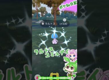 【ポケGO日記】ラルトス コミュニティデイ (復刻) 色違い...実質４体なのだ!? #shorts #ポケモンgo #ラルトス #色違い #コミュニティデイ