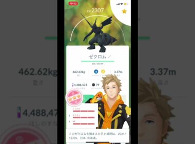 【ゼクロム100％】#shorts #Shorts #pokemongo #ゼクロム　#ポケモンgo ＃100％ #ゼクロム100％ ＃ポケモン　＃初ゲット