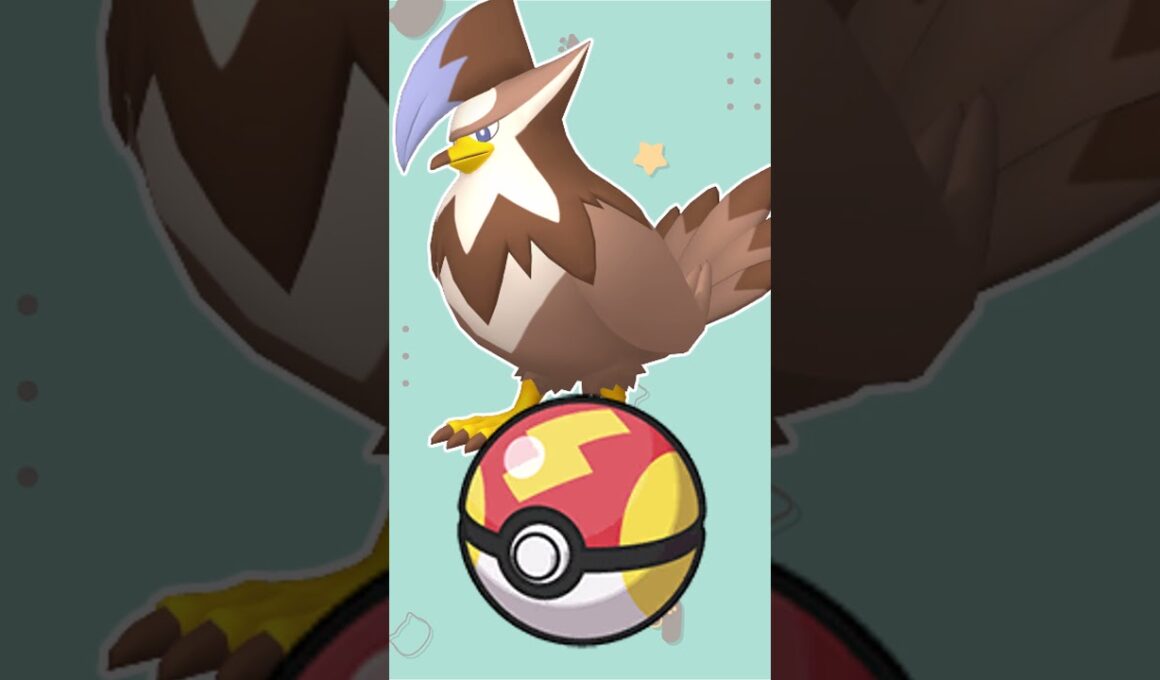 【オシャボ】色違いムクホークみんなは何ボールに入れる？#shorts #ポケモンsv #ポケモンsv色違い   #pokémon