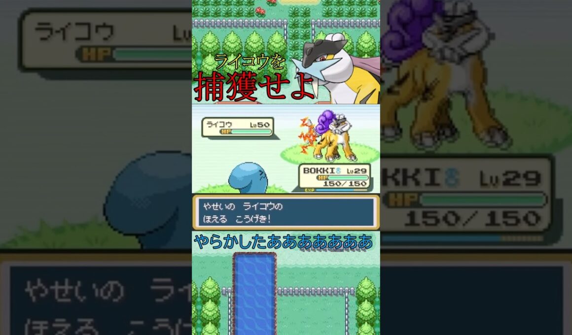 ライコウ捕獲にやらかしたｗｗ #ポケモン #shorts  #ファイアレッド #リーフグリーン