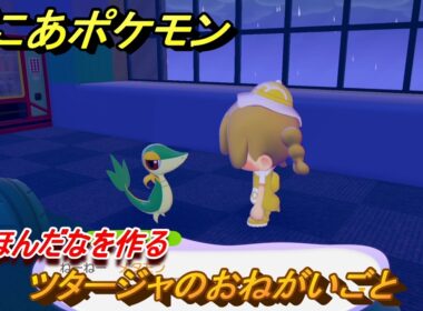 ぽこあポケモン　ツタージャのおねがいごと　ミニほんだなを作る　＃２３６　【ぽこポケ】