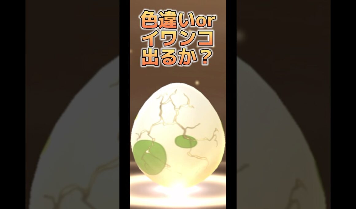 【ポケモンGO】2km卵色違いor黄昏イワンコ出るか？#ポケモンgo #pokemongo #pokémongo