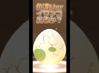 【ポケモンGO】2km卵色違いor黄昏イワンコ出るか？#ポケモンgo #pokemongo #pokémongo