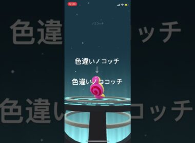 ポケモンGO 色違いノコッチを色違いノココッチへ進化！ #pokémon #ポケモンgo #ポケモン #pokemongo