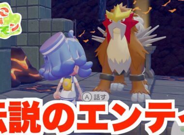 【ぽこあポケモン】まさかの伝説エンテイと遭遇！？【ぽこポケ】