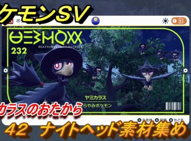 ポケモンＳＶ　わざマシン４２　ナイトヘッド素材集め　ヤミカラスのおたからの入手方法は？　【スカーレット・バイオレット】