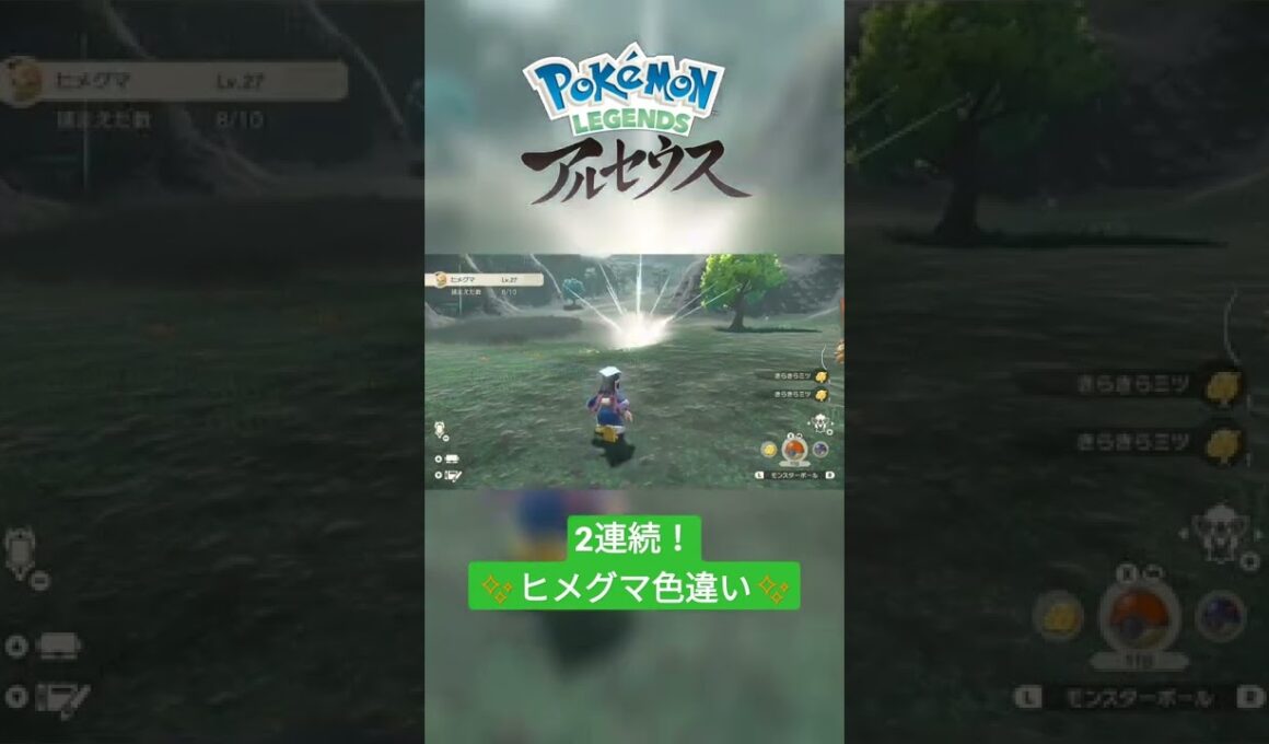 【色違い】Pokémon LEGENDS アルセウス『ヒメグマ』大量発生にて連続色違い✨ #shorts