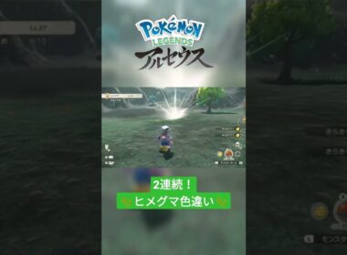 【色違い】Pokémon LEGENDS アルセウス『ヒメグマ』大量発生にて連続色違い✨ #shorts