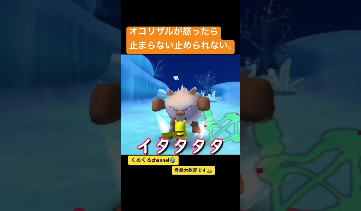 オコリザルが怒ったら止まらない止められない。 #夫婦でゲーム実況 #ポケモン #ポケパーク #shorts