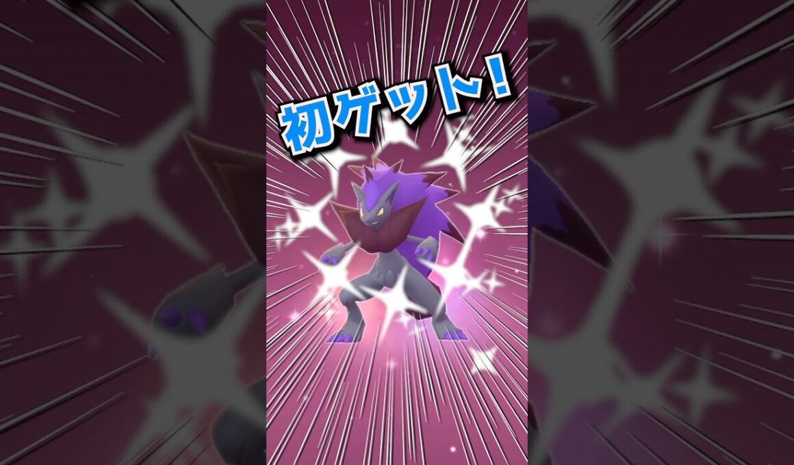 【色違い】ゾロアゲット〜で進化させてみた〜♫ #ポケモンgo #ポケモン #pokemongo