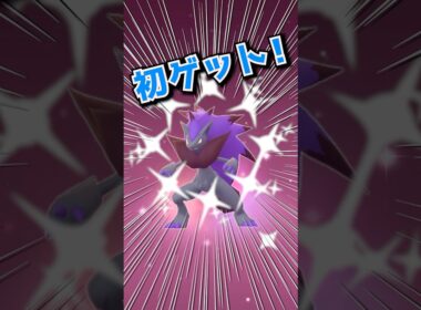 【色違い】ゾロアゲット〜で進化させてみた〜♫ #ポケモンgo #ポケモン #pokemongo