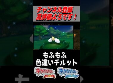 チルットの色違いゲット！【ポケモンORAS】#色違い #色違い厳選 #shorts