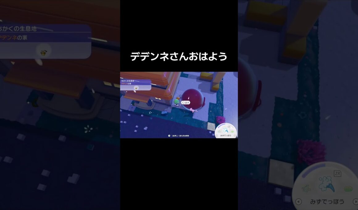 デデンネさんおはよう#shorts【ぽこあポケモン】