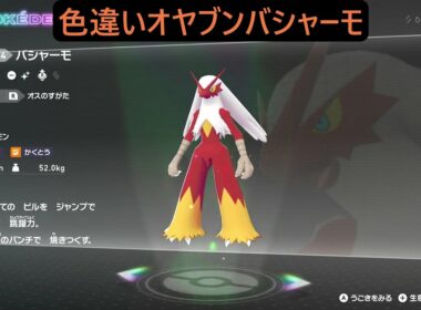 色違いオヤブンアチャモ・ワカシャモ・バシャーモ ポケモンレジェンズZA M次元ラッシュ Pokémon LEGENDS Z-A Mega Dimension #ポケモン