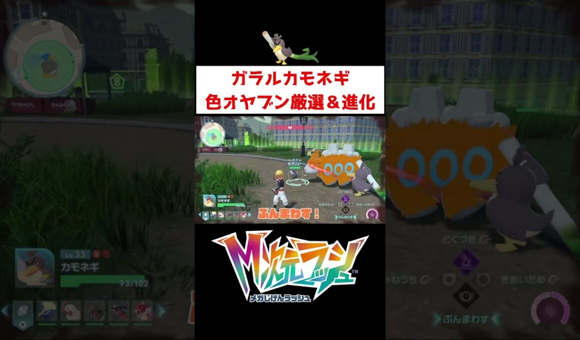 ガラルカモネギ色オヤブン厳選【ポケモンZA】#ゲーム実況 #shorts #ポケモン #ポケモンZA #色違い #厳選 #カモネギ