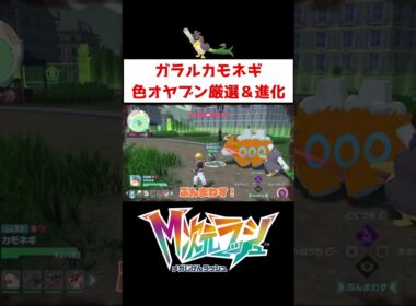 ガラルカモネギ色オヤブン厳選【ポケモンZA】#ゲーム実況 #shorts #ポケモン #ポケモンZA #色違い #厳選 #カモネギ