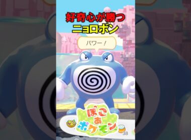 【ぽこポケ】好奇心が勝つニョロボン #ぽこあポケモン #ぽこポケ #ポケモン #shorts