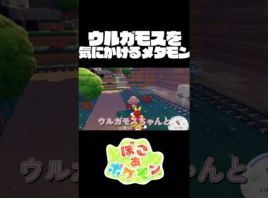 ウルガモスを何度も強制的に地上へ連れてきた甲斐があった…　#shorts #short #ぽこあポケモン #ゲーム実況