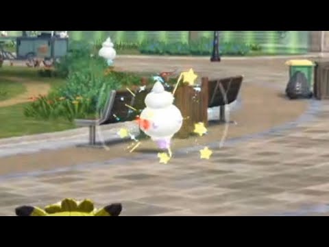 ワイルドゾーン7(バニプッチ・ヒポポタス)色違い探し＃37【Pokémon LEGENDS Z-A】