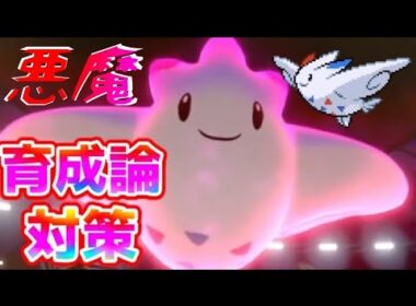 【ポケモン剣盾】トゲキッス育成論対策【ポケモン育成論】