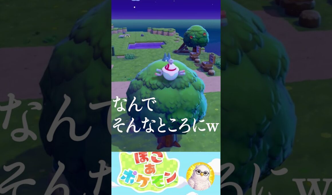 出るとこをまちがえたゴンベかわちいーー  #ぽこポケ #ぽこあポケモン #ポケモン