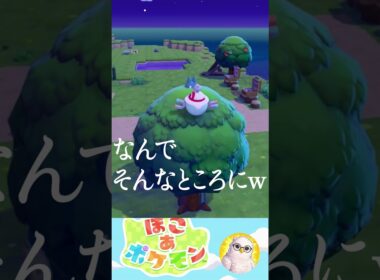 出るとこをまちがえたゴンベかわちいーー  #ぽこポケ #ぽこあポケモン #ポケモン