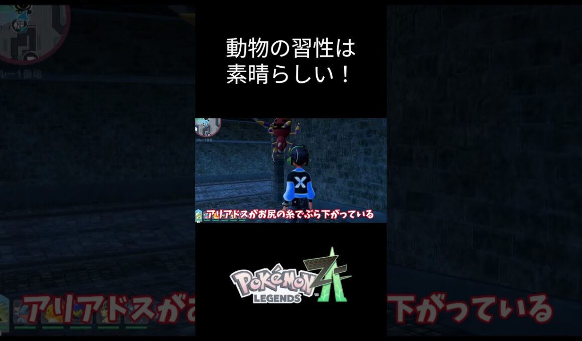 【ポケモンZA】アリアドスの生態観察 #ポケモン #ポケモンza #ポケットモンスター